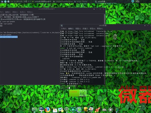 veket中怎样用apt命令,安装Debian的软件包