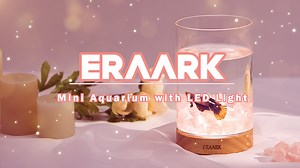 Watch How to Install an Aquarium on Amazon Live