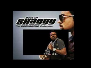 Best of Shaggy songs - chill reggae music