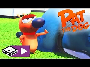 Pat der Hund | Die Hüpfburg | Cartoonito