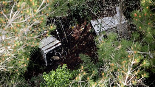 Shocking discovery deep in the New Zealand bush after children are finally found after years on the run with their dad