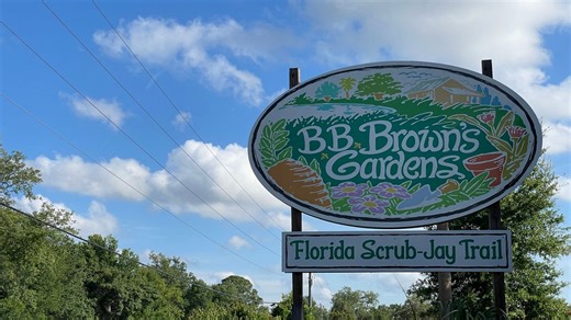 The Florida Scrub-Jay Trail in provides habitat for state's scrub species