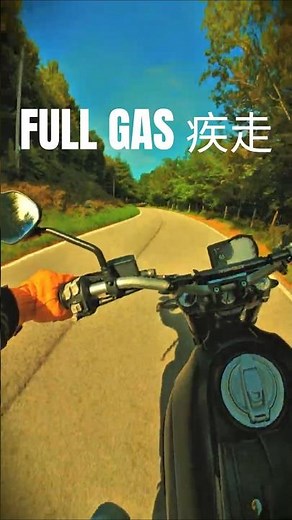 Sun Behind, Throttle Wide Open 疾走 #scramblerducati #leovince #bikelife #puresound #ducatiscrambler