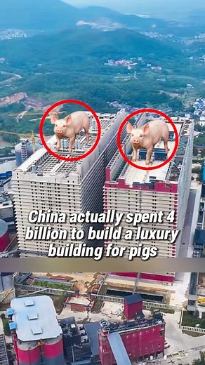 Eyebiokin Kenny Peter | A towering marvel in Hubei! 🏙️ The Baji Building stands tall as a testament to modern architecture and urban development. Its unique... | Instagram