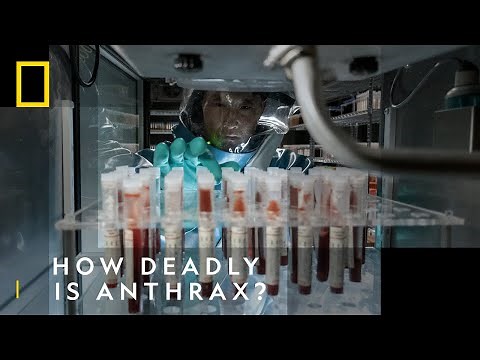 Anthrax: How Deadly Is It? | The Hot Zone: Anthrax | National Geographic UK