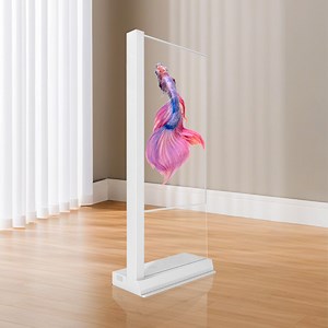 [Hot Item] 55 Inch Touch Screen Floor Standing Ultra Thin See Through Digital Signage OLED Display Transparent Screen