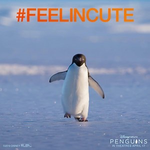 In 3 days, meet a penguin named Steve. See #DisneynaturePenguins in theatres this Wednesday. | Disneynature