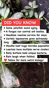 12K views · 92 reactions | 8 Bizarre Biology Facts That Sound Fake #BioFacts #WeirdScience #StrangeNature | Amazing Facts | Facebook