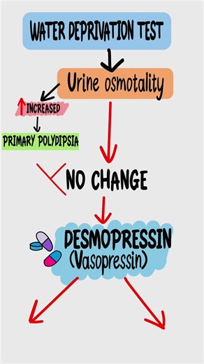 Diabetes Insipidus Flowchart in 30s | USMLE Step 1 & Step 2 Water Deprivation Test