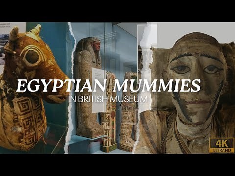 Unveiling Ancient Secrets: Exploring Egyptian Mummies at the British Museum #britishmuseum #london