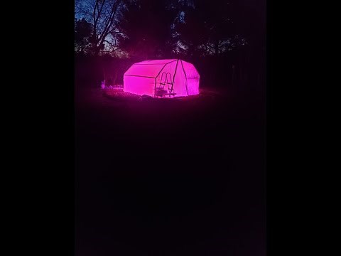 ✅ Convert your Intex swimming pool into a low tunnel PVC DIY greenhouse.