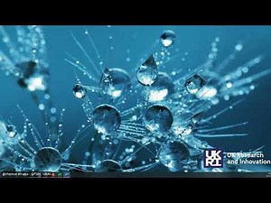 EPSRC-Defra Reimagining Circularity – Outline Stage Funding Opportunity Informational Webinar