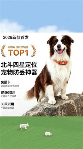 #好物推荐🔥 狗狗定位器宠物gps项圈狗防丢失神器追踪猫咪防水跟踪订位定仪器#宠物定位器 #养狗手册