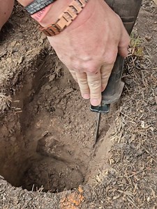 Stop burning through cheap blades 🔥 These EZARC Japanese-tooth Sawzall blades slice through tree limbs, logs, pallet wood & frozen roots like butter. Heavy-duty, long-lasting, and PERFECT for yard cleanup, pruning & DIY projects.