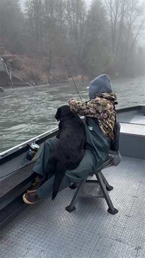 The greatest deck hand.. ever? 🎥: @fishingwithnatalie #Labrador #FishingLife #Outdoors #FieldandStream | Field & Stream