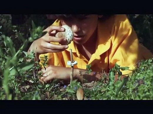 En Tu Ausencia (2008)