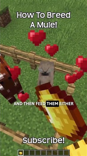 How To Breed A Mule In Minecraft?!