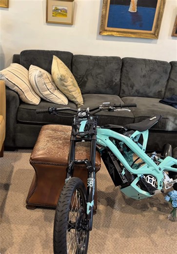 all titanium bolts including the bike stand bolts are at @DevMoto.us 💎 #surron #ebike #talaria #ultrabee #chibatterysystems