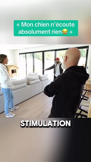 Vidéos de dog_passion (@dog_passion) avec son original - dog_passion