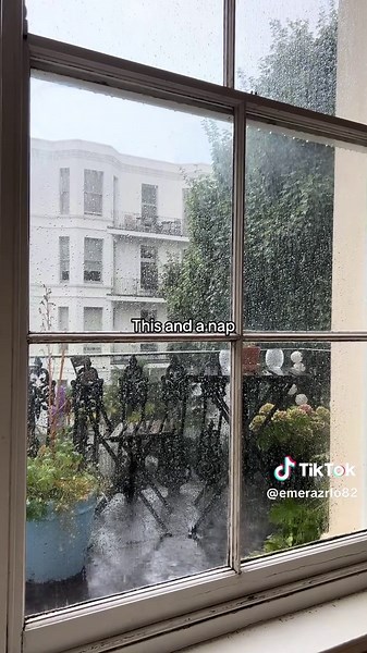 Embracing Rainy Days: The Joy of Napping