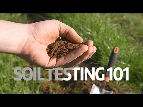 Understanding your soil test