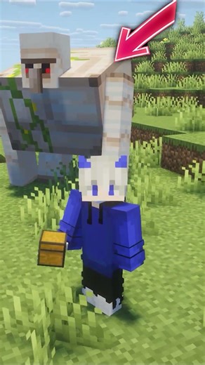 What if Minecraft have More Golem?
