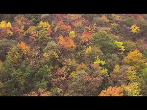 Enya - Watermark (Extended) 1080K