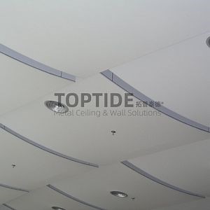 [Hot Item] Custom Double Bending Exterior Aluminium / Steel Wall Ceiling Decorative Panel