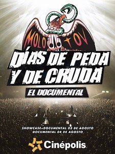 Molotov 20 años: días de peda y cruda