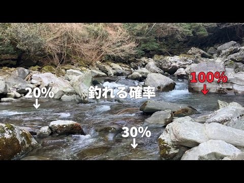 [Mountain stream amago fishing] Chances of catching amago by point