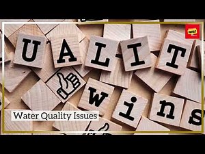 What Causes Floods and How Do They Impact the Environment