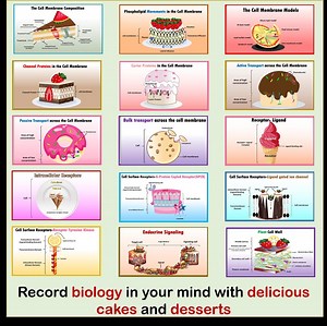 Biology Poster Set28 Postersscience Class Gallery Wall-digital Download Posters-scientific Poster Set-biology Class Set-lab Poster Set - Etsy Australia