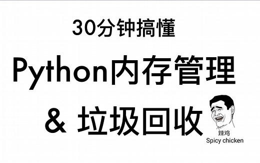 30分钟搞懂Python内存管理&垃圾回收原理