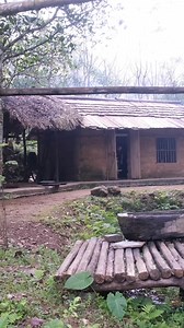 6.3K views · 196 reactions | Separating cotton seeds and making the cotton loose with manual technology | Primitive Skills | Facebook