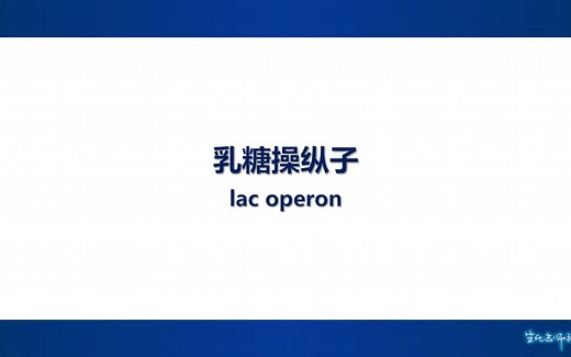 乳糖操纵子（lac operon）