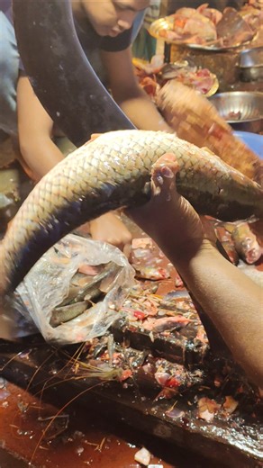 Big fish catting #foryou #sorts