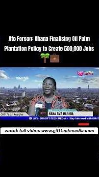 Ato Forson: Ghana Finalising Oil Palm Plantation Policy to Create 500,000 Jobs 🌴💼