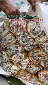 7009077440 7009077442 7330000222. Ethnic floral fitted bedsheets #HomeImprovement #HomeDecor #bedsheets #bedcover #decor #Cushion #Sirsa #Punjab #zirakpur #delhi #mumbai #jaipur #bangalore #karnataka #chandigarh #pune #faridabad #fbreels #reelsfbシ #explorepage #patiala #cushions #Curtains | Anshumali Gupta