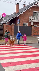 24K views · 164 reactions | Strangers Help Blind Woman Cross Street | Fabiosa Australia | Facebook