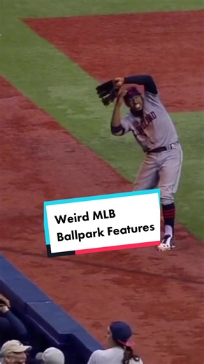 The Tigers really had a flagpole in centerfield 😅 #shorts #sports #tampabay #mlb #baseball #ballpark #houston #astros #rays #fenway #boston #redsox #wrigley #astrodome #metrodome #twins #minnesota #foryou #fyp #sportstok #sportshistory