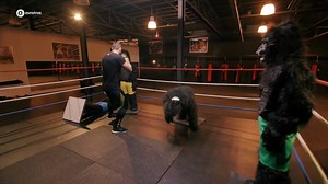 368K views · 4.7K reactions | Rico Verhoeven GE-MINDF*CKED! Als dit experiment mis was gegaan, was er niet veel overgebleven van Victor Mids...壘 MINDF*CK zelf meemaken? Ga naar www.mindfcklive.nl! | Mindfck | Facebook