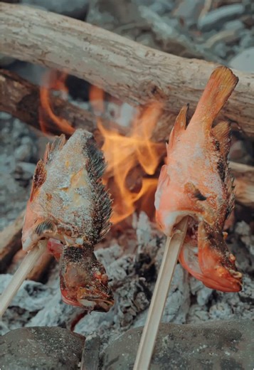 Is this cooking a hassle? #outdoorcooking #fishing #キャンプ