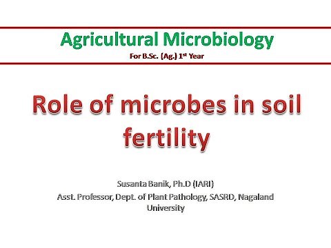 Role of microbes in soil fertility | Carbon cycle | Microbes in decomposition of cellulose