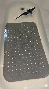 83K views · 252 reactions | Remote control swimming mosasaurus! This has got to be up there with one of the best bath toys! And they’re currently half price #fyp #bathtime #bathtoys #tiktokmademebuyit #spotlight | Whitney Marie Ainscough | Facebook