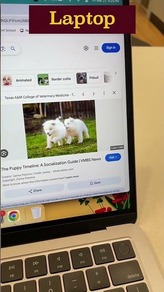 copy image address on ipad vs laptop