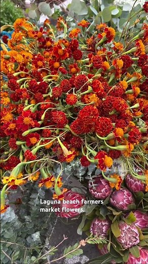 Always visit the local farmers market while traveling!