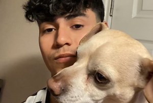 DiazBiffle Bio - Pro Gamers Age