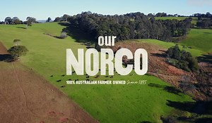Norco Exports - Norco Foods