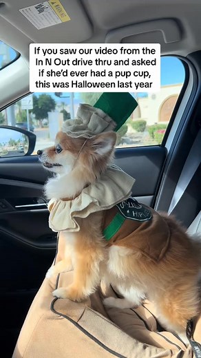 Pup cups at her heart long before puppy patties 😌 | Lola