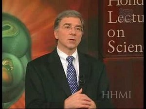 Understanding Embryonic Stem Cells